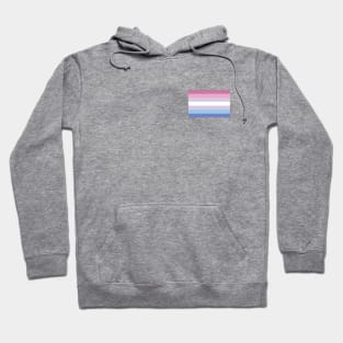 Bigender Pride Flag Hoodie